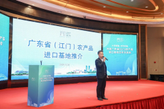  江门高尺度建成高